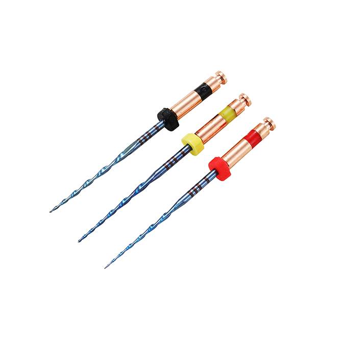 PERFECT ENDO RC BLUE FILES